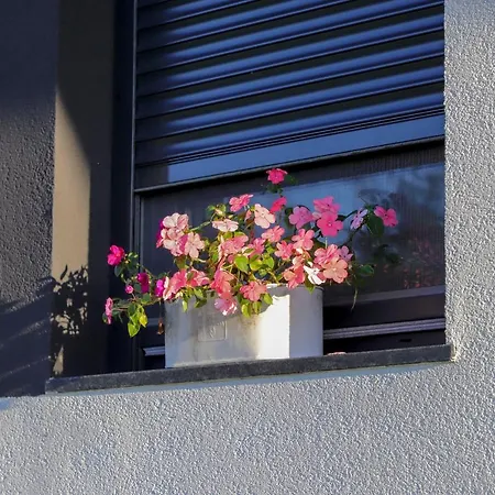 شقق أوينيوس Racic المظهر الخارجي الصورة