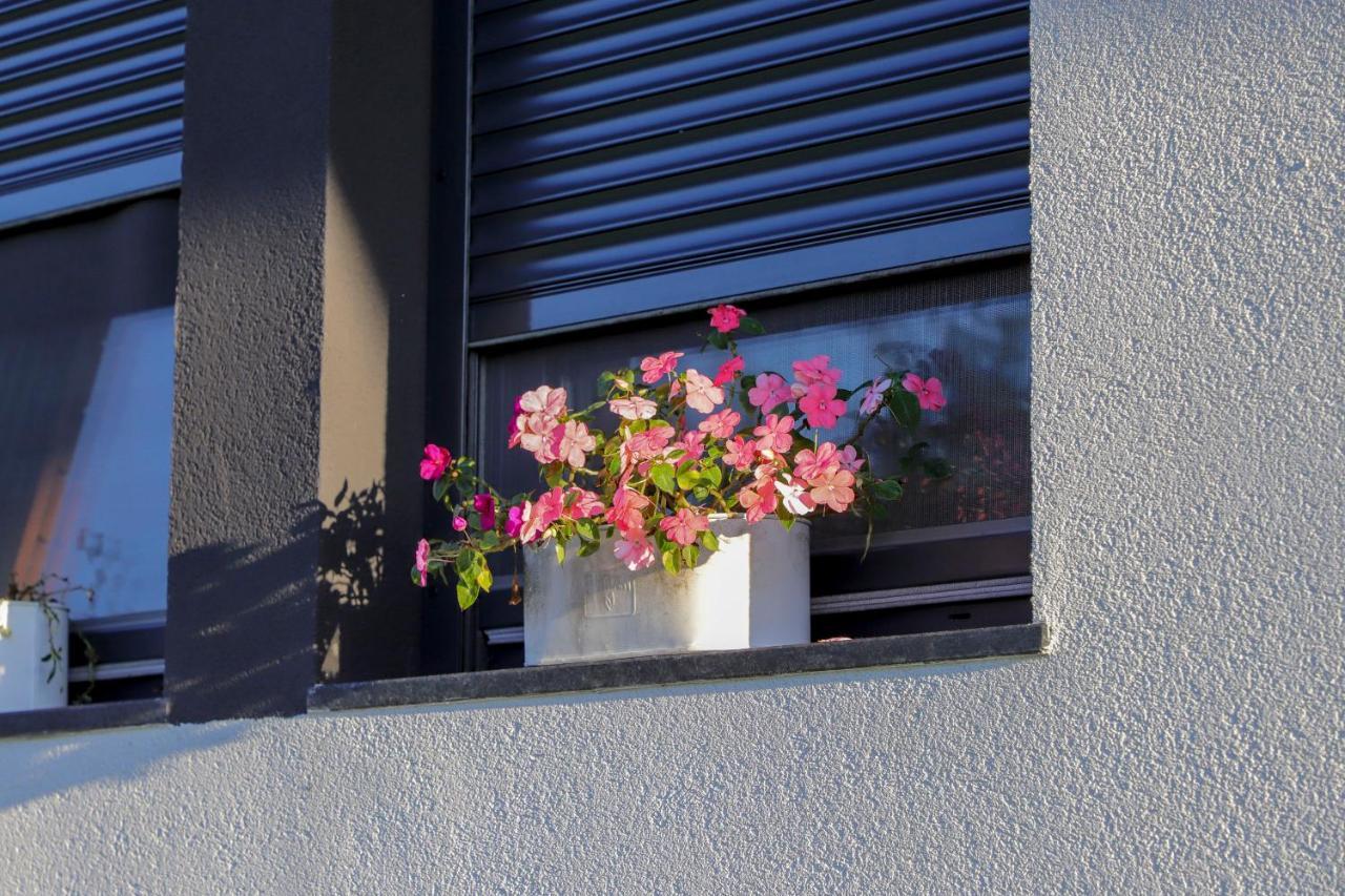 Apartment Oeneus *